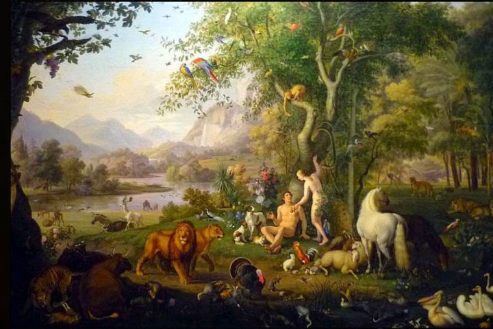 Creation Genesis 1:20-31