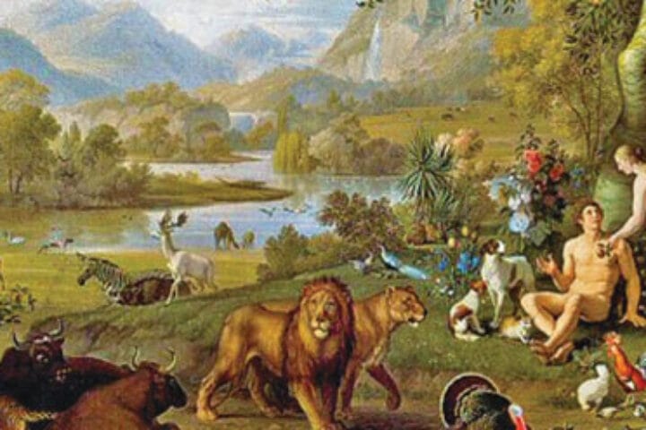 Genesis 2:4-25 – Second account of creation 4 These are the generations of the heavens and the earth when they were created. Another Account of the Creation In the day that the Lord God made the earth and the heavens, 5 when no plant of the field was yet in the earth and no vegetation of the field had yet sprung up—for the Lord God had not caused it to rain upon the earth, and there was no one to till the ground, 6 but a stream would rise from the earth and water the whole face of the ground— 7 then the Lord God formed man from the dust of the ground and breathed into his nostrils the breath of life, and the man became a living being. 8 And the Lord God planted a garden in Eden, in the east, and there he put the man whom he had formed. 9 Out of the ground the Lord God made to grow every tree that is pleasant to the sight and good for food, the tree of life also in the midst of the garden, and the tree of the knowledge of good and evil. 10 A river flows out of Eden to water the garden, and from there it divides and becomes four branches. 11 The name of the first is Pishon; it is the one that flows around the whole land of Havilah, where there is gold, 12 and the gold of that land is good; bdellium and onyx stone are there. 13 The name of the second river is Gihon; it is the one that flows around the whole land of Cush. 14 The name of the third river is Tigris, which flows east of Assyria. And the fourth river is the Euphrates. 15 The Lord God took the man and put him in the garden of Eden to till it and keep it. 16 And the Lord God commanded the man, “You may freely eat of every tree of the garden, 17 but of the tree of the knowledge of good and evil you shall not eat, for in the day that you eat of it you shall die.” 18 Then the Lord God said, “It is not good that the man should be alone; I will make him a helper as his partner.” 19 So out of the ground the Lord God formed every animal of the field and every bird of the air and brought them to the man to see what he would call them, and whatever the man called every living creature, that was its name. 20 The man gave names to all cattle and to the birds of the air and to every animal of the field, but for the man there was not found a helper as his partner. 21 So the Lord God caused a deep sleep to fall upon the man, and he slept; then he took one of his ribs and closed up its place with flesh. 22 And the rib that the Lord God had taken from the man he made into a woman and brought her to the man. 23 Then the man said, “This at last is bone of my bones and flesh of my flesh; this one shall be called Woman, for out of Man this one was taken.” 24 Therefore a man leaves his father and his mother and clings to his wife, and they become one flesh. 25 And the man and his wife were both naked and were not ashamed.